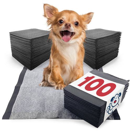 ValuePad Plus Carbon Puppy Pads, Small 17x24 Inch, 100 Count