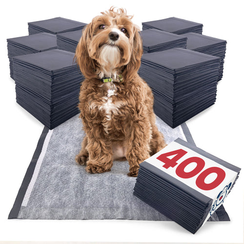 ValuePad Plus Carbon Puppy Pads, Medium 23x24 Inch, 400 Count BULK PACK