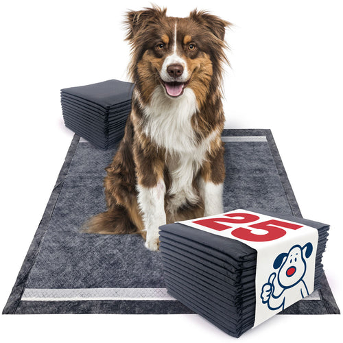 ValuePad Plus Carbon Puppy Pads, Large 28x30 Inch, 25 Count