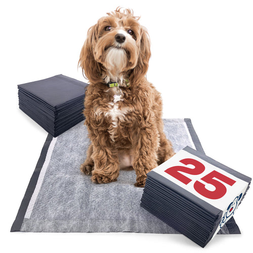 ValuePad Plus Carbon Puppy Pads, Medium 23x24 Inch, 25 Count