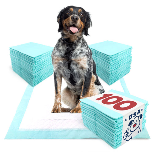 ValuePad USA Plus Puppy Pads, Large 28x30 Inch, 100 Count BULK PACK