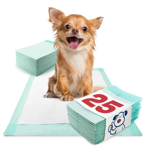 ValuePad Plus Puppy Pads, Small 17x24 Inch, 25 Count