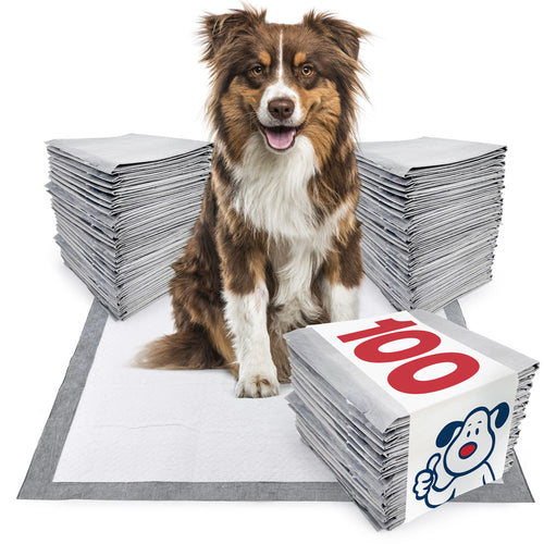 IMPROVED- ValuePad Ultra Puppy Pads, Large 28x30 Inch, 100 Count