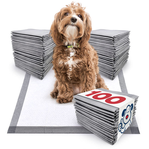IMPROVED- ValuePad Ultra Puppy Pads, Medium 23x24 Inch, 100 Count