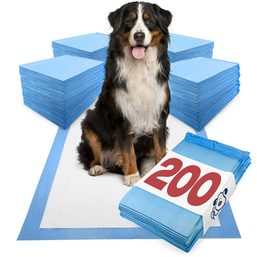 ValuePad Puppy Pads, Extra Large 28x36 Inch, 200 Count BULK PACK