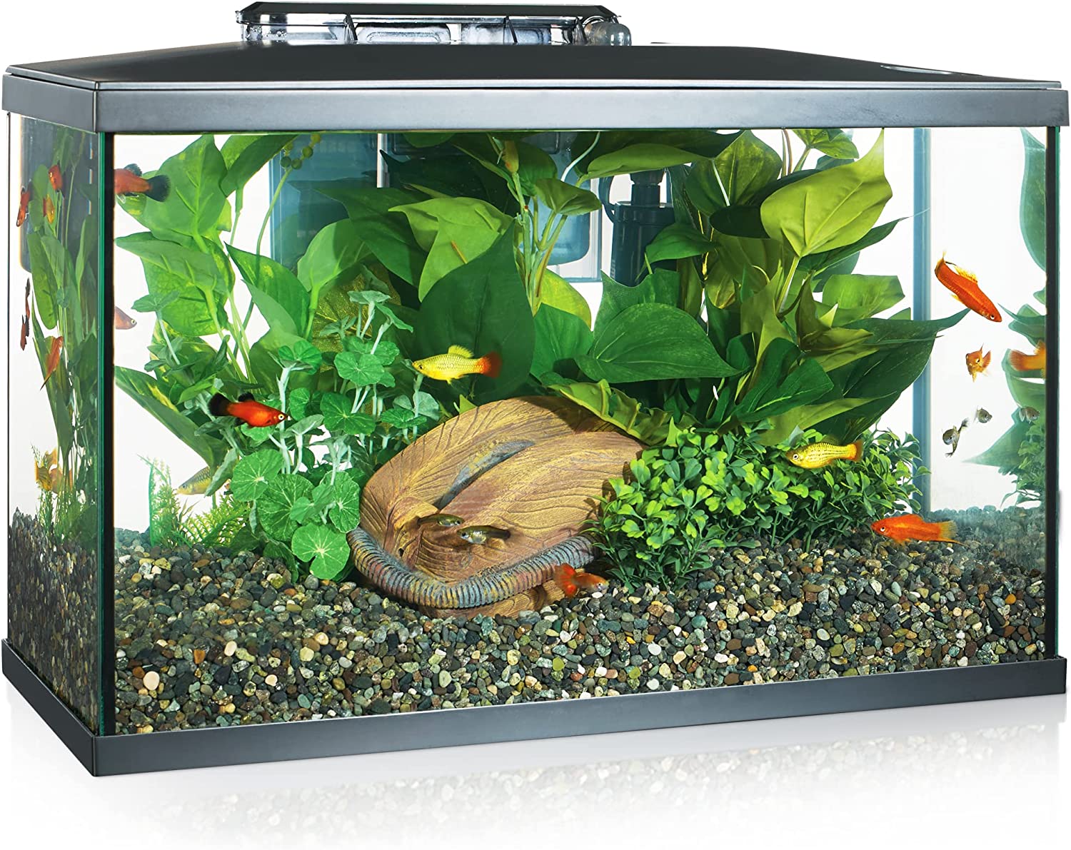 Marina LED Glass Aquarium Kit 10 Gallon, (OPEN BOX)