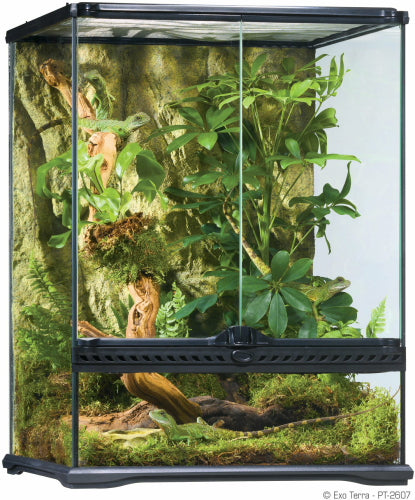 Exo Terra Tall Glass Terrarium, Small