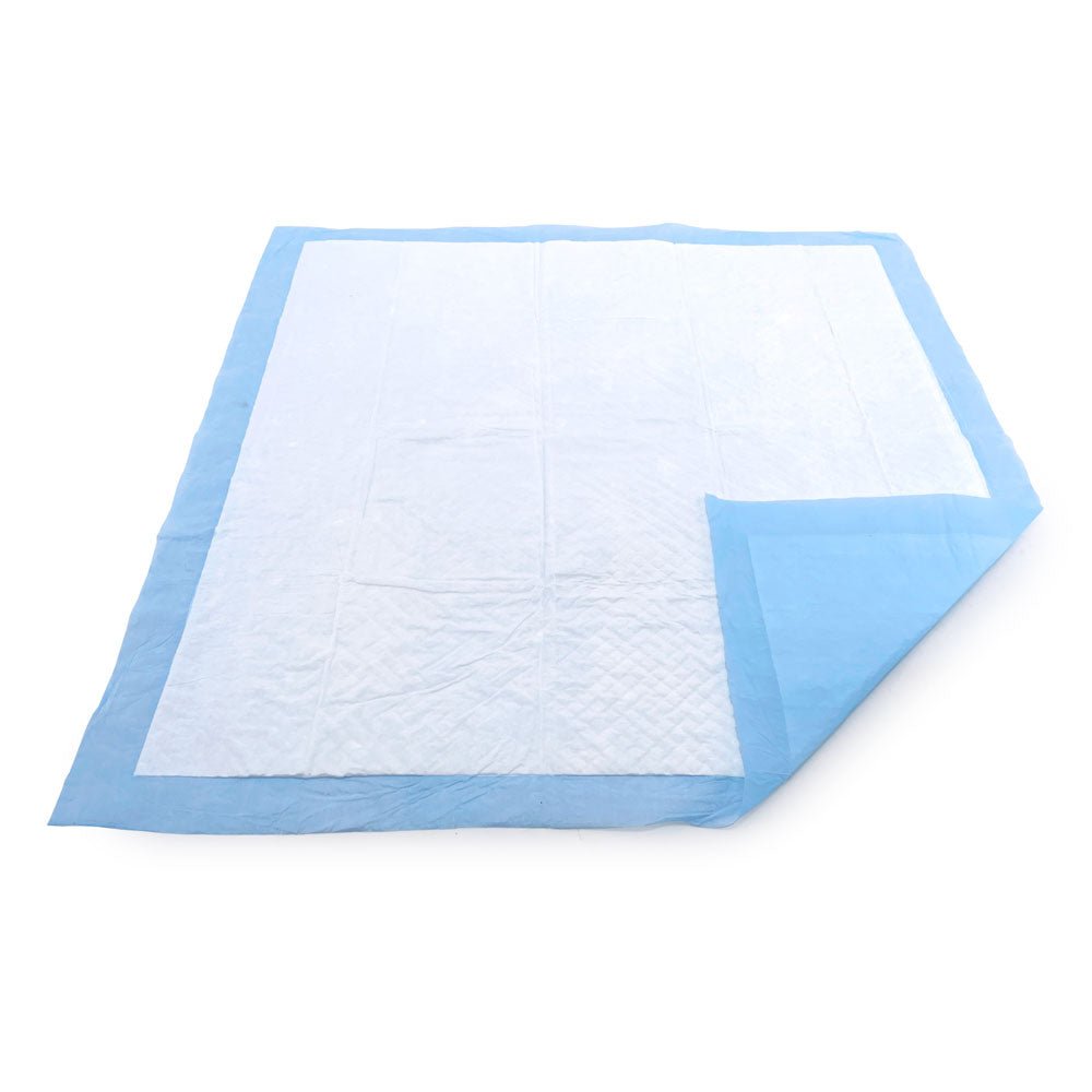 ValuePad USA Puppy Pads, Medium 22x23 Inch, 100 Count - ValuePetSupplies