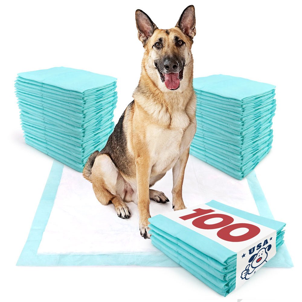 ValuePad USA Plus Puppy Pads, Jumbo 36x36 Inch, 100 Count BULK PACK - ValuePetSupplies
